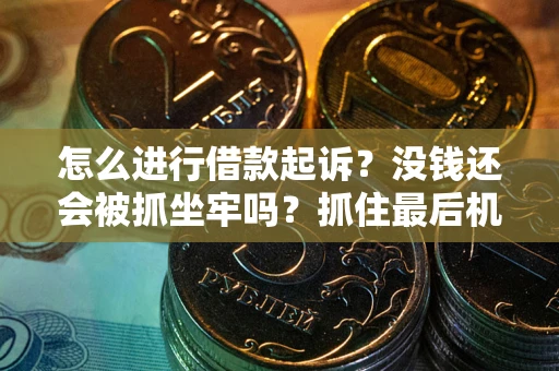 北京怎么进行借款起诉？没钱还会被抓坐牢吗？抓住最后机会！