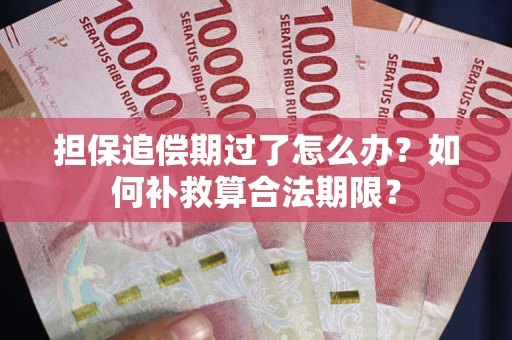 北京担保追偿期过了怎么办？如何补救算合法期限？