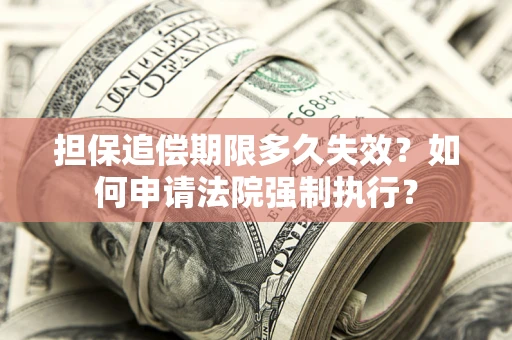 北京担保追偿期限多久失效？如何申请法院强制执行？