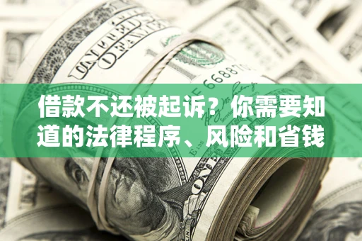 北京借款不还被起诉？你需要知道的法律程序、风险和省钱技巧